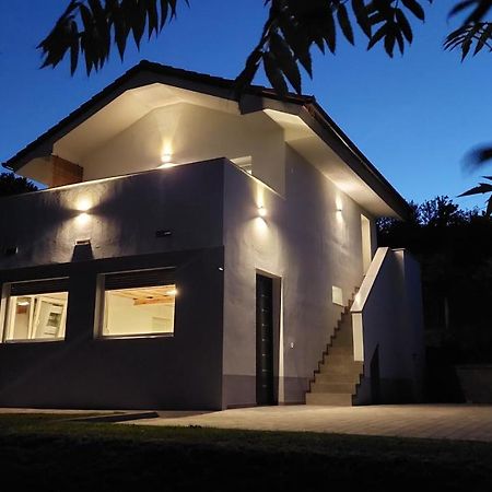 Grajsko Villa Metlika Buitenkant foto