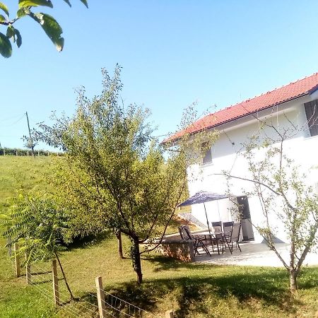 Grajsko Villa Metlika Buitenkant foto