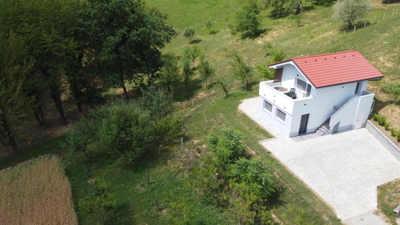 Grajsko Villa Metlika Buitenkant foto