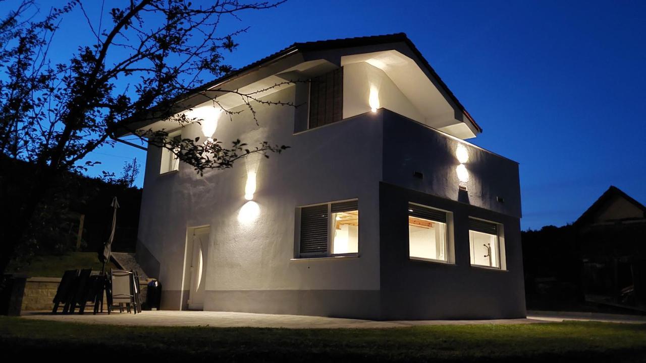 Grajsko Villa Metlika Buitenkant foto