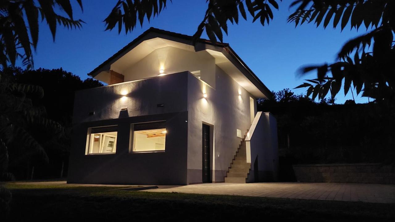 Grajsko Villa Metlika Buitenkant foto