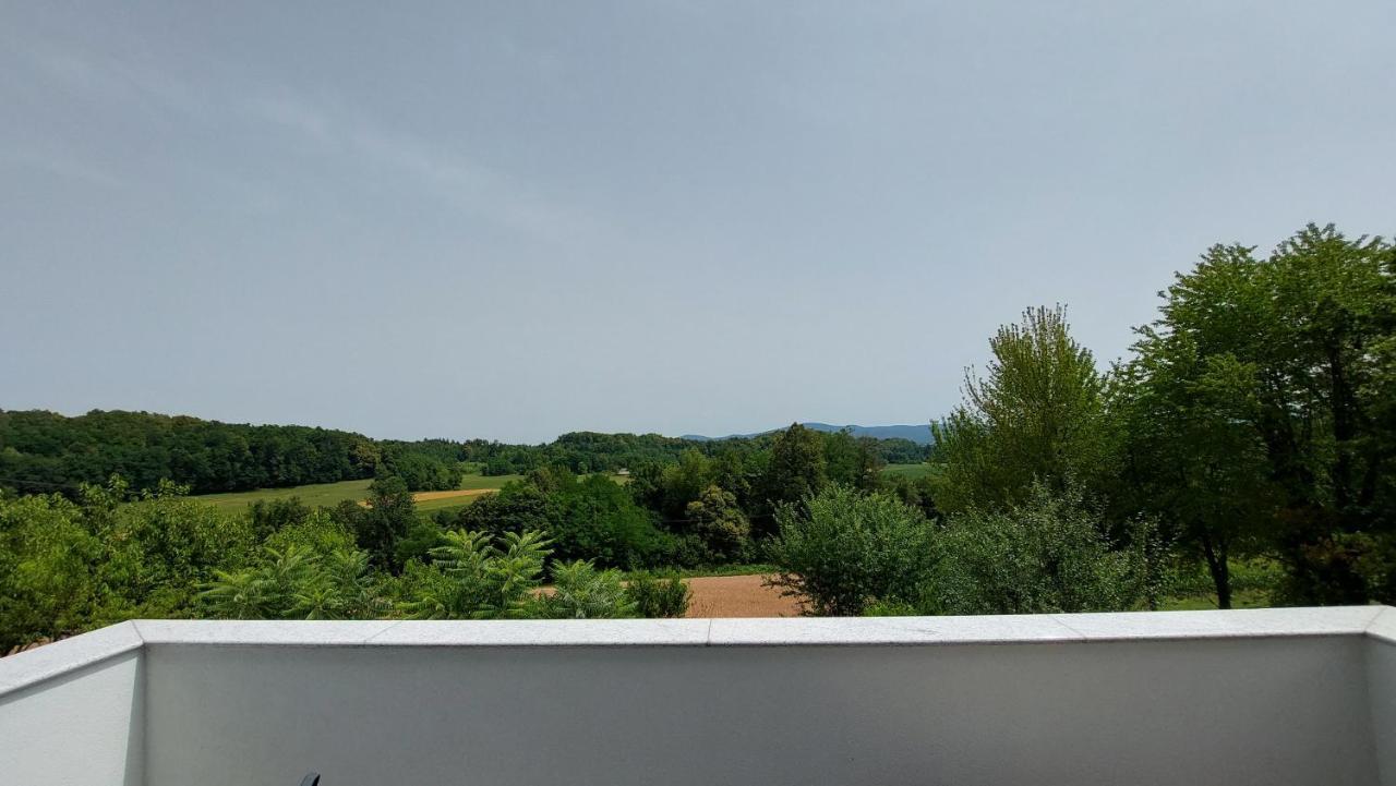 Grajsko Villa Metlika Buitenkant foto