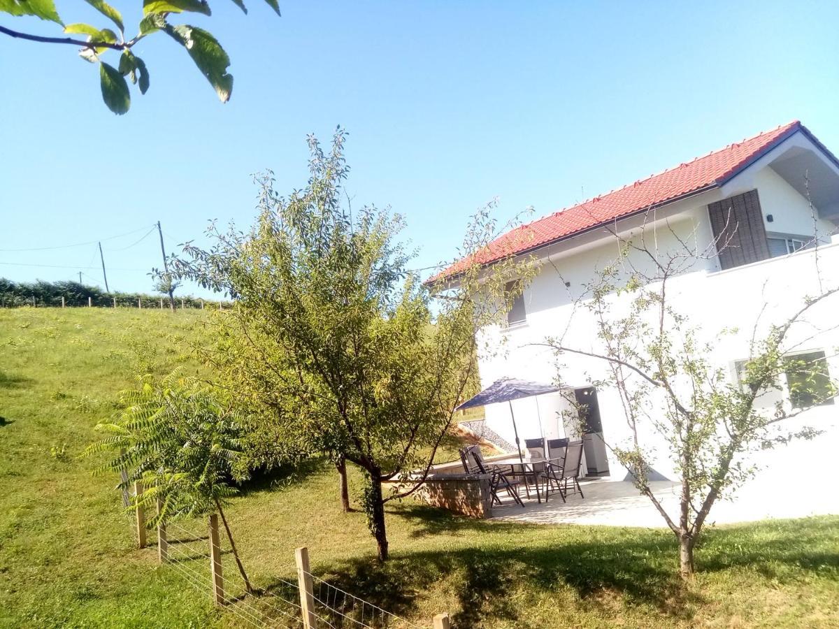 Grajsko Villa Metlika Buitenkant foto