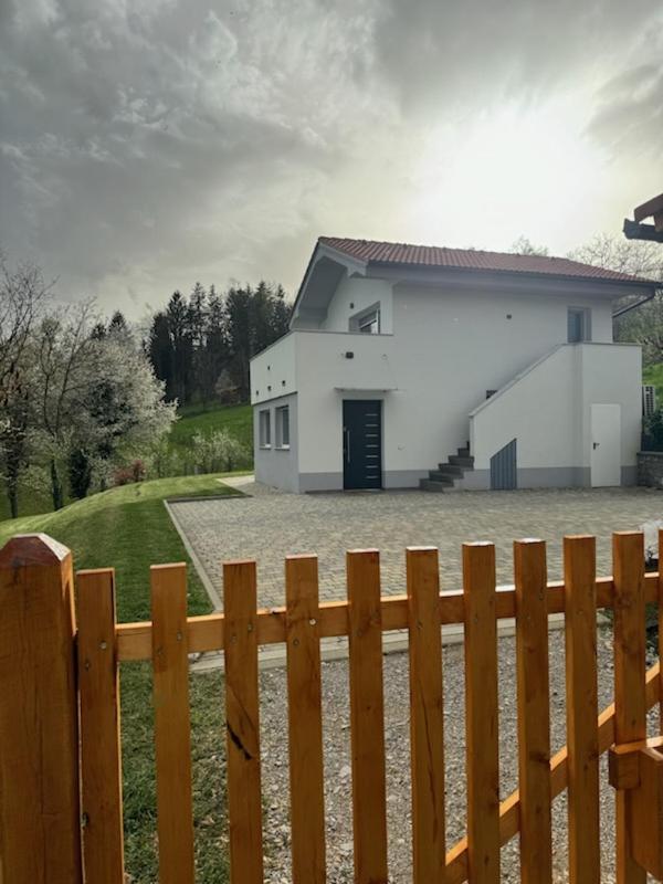 Grajsko Villa Metlika Buitenkant foto
